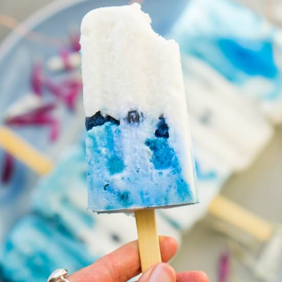 Blue Magik Coconut Yogurt Popsicles