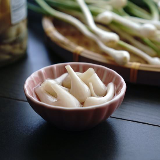 Pickled Wild Garlic