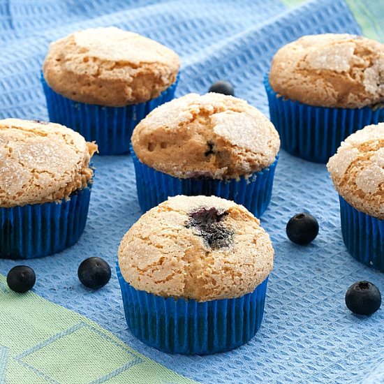 Low Fodmap Blueberry Muffins