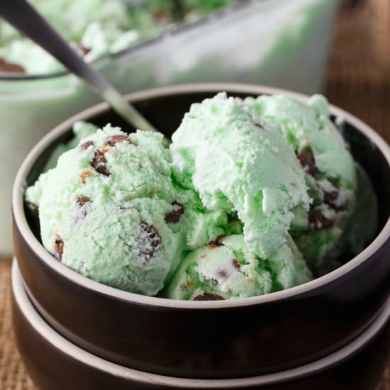 Mint Chocolate Chip Ice Cream