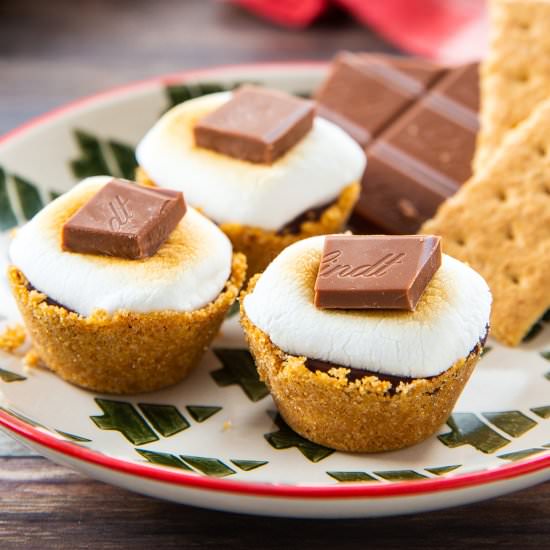 Mini S’mores Cups