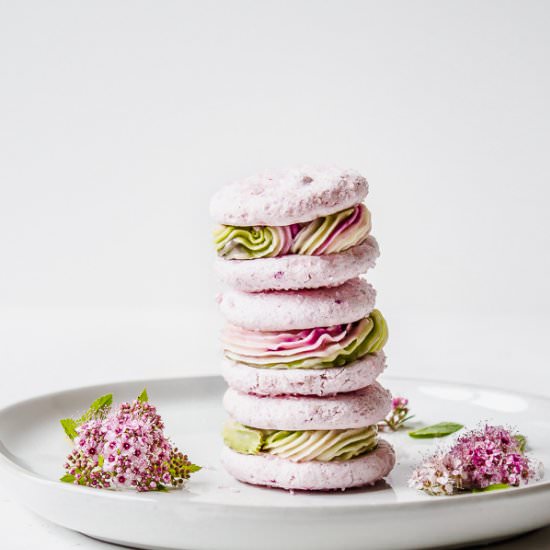 Pretty Pink Macarons