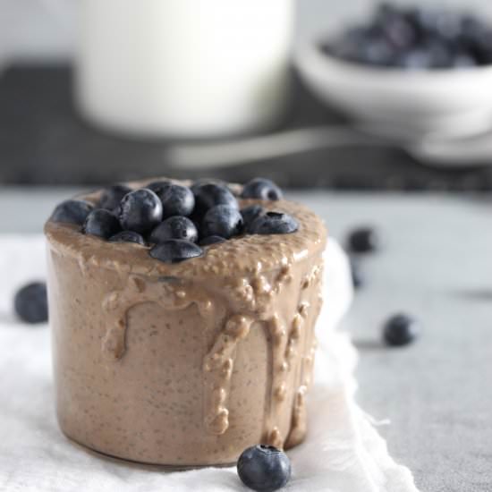 Blueberry Chia Seed Pudding