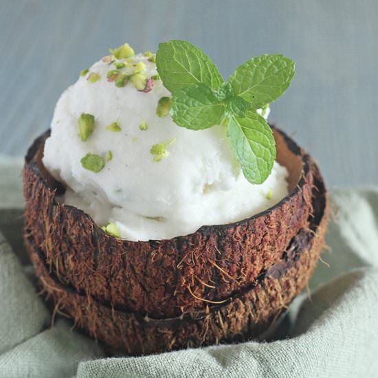 Vegan Coconut Gelato