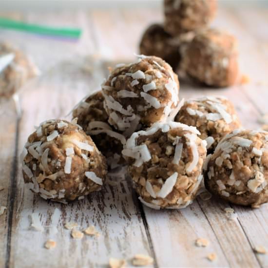 Vanilla Coconut Protein Balls
