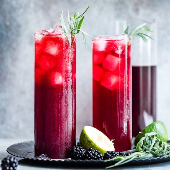 Blackberry Hibiscus Spritzer