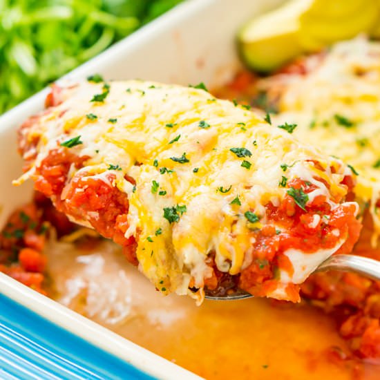 Salsa Chicken