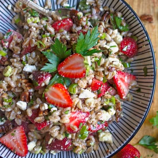 Strawberry Farro Salad