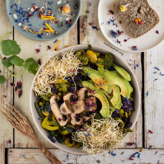 Easy Vegan Lunch Buddha Bowl