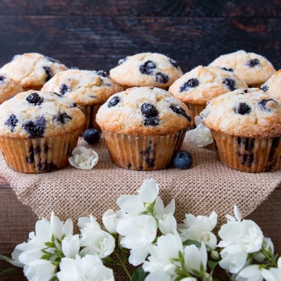 best blueberry muffins
