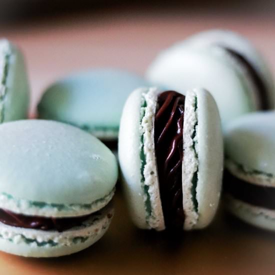 Mint Chocolate Macaron