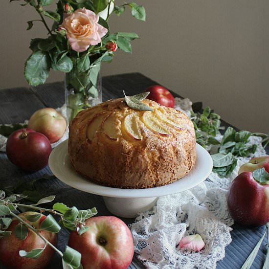 Yogurt and peach pie