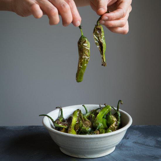 Pan roasted shishito peppers