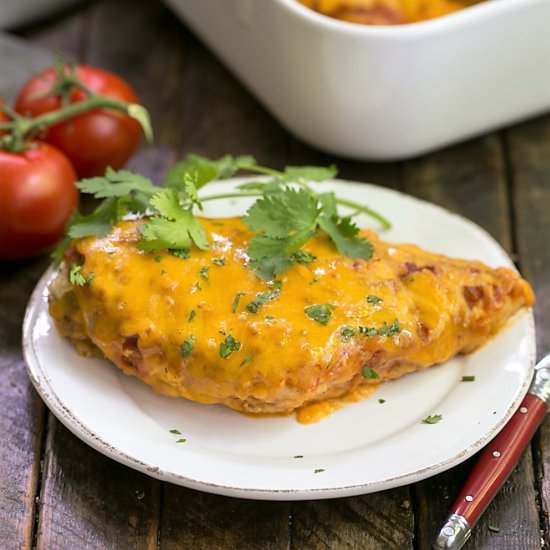 Easy Salsa Chicken