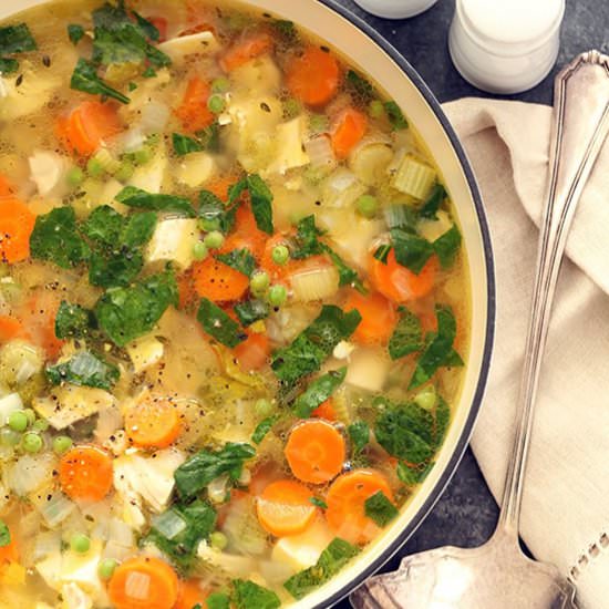 Chicken Vegetable Soup