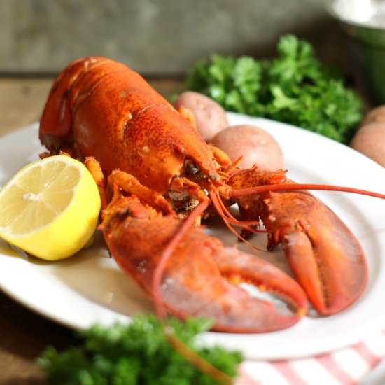 Complete Guide To Cooking Lobster