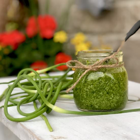 Garlic Scape Pesto