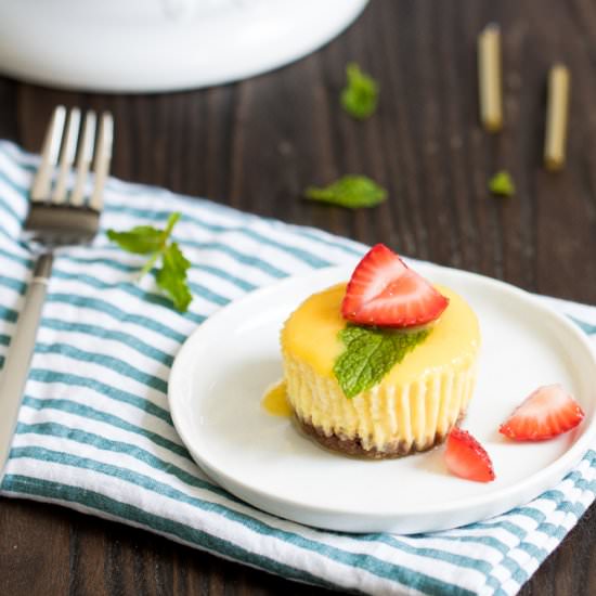 Mango Cheesecake Bites