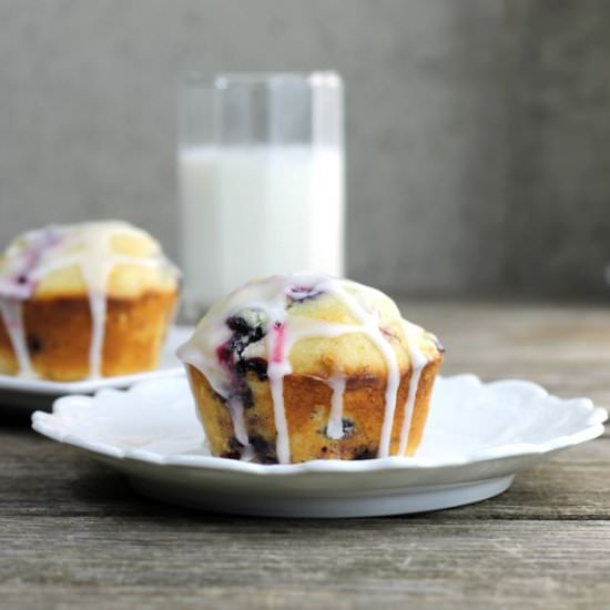 Blueberry Lemon Cream Cheese Muffin