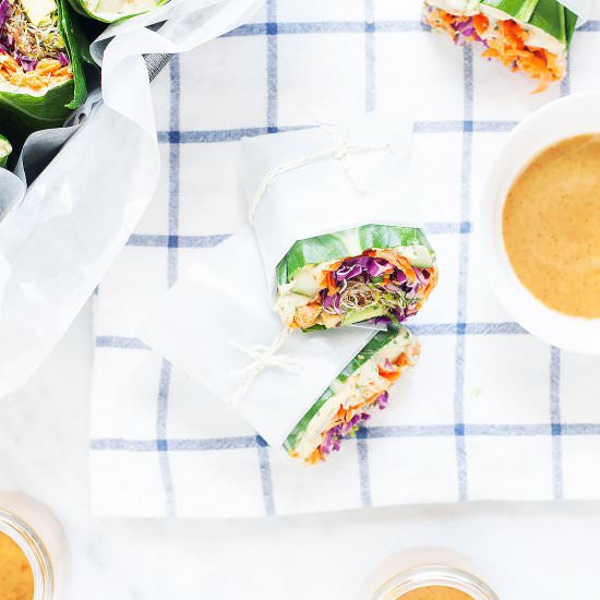 Collard Wraps with Cilantro Hummus