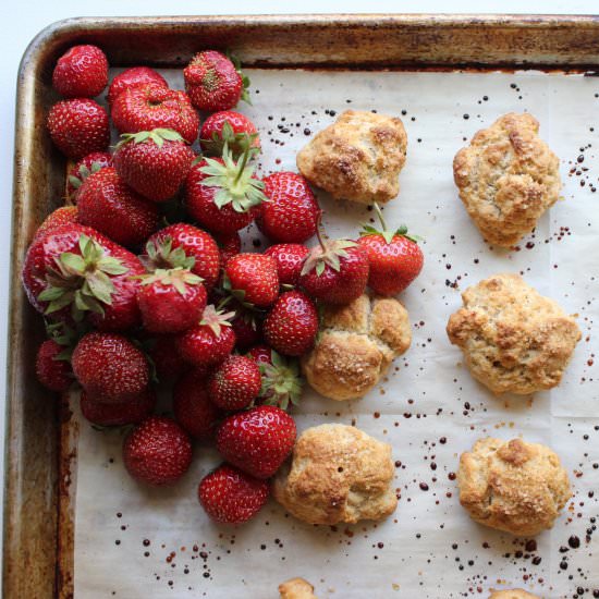 Two-bite strawberry shortcakes