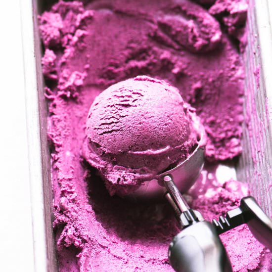 No Churn Blueberry Frozen Yogurt