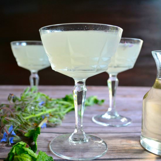 Garden Herb Gin Gimlet
