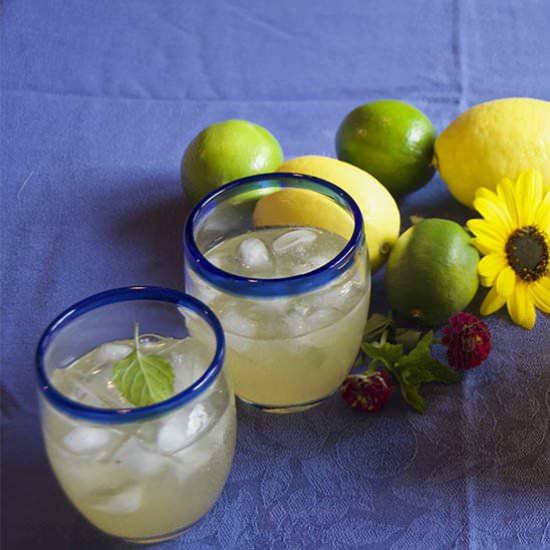 Radically Refreshing Lemonade