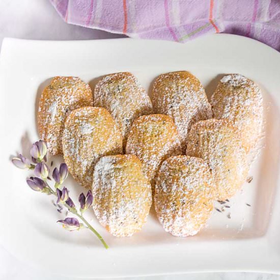 Lavender Vanilla Madeleines