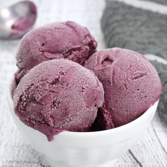 Two-Ingredient Mixed Berry Sherbet