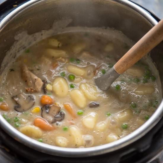 Instant Pot Chicken and Dumplings