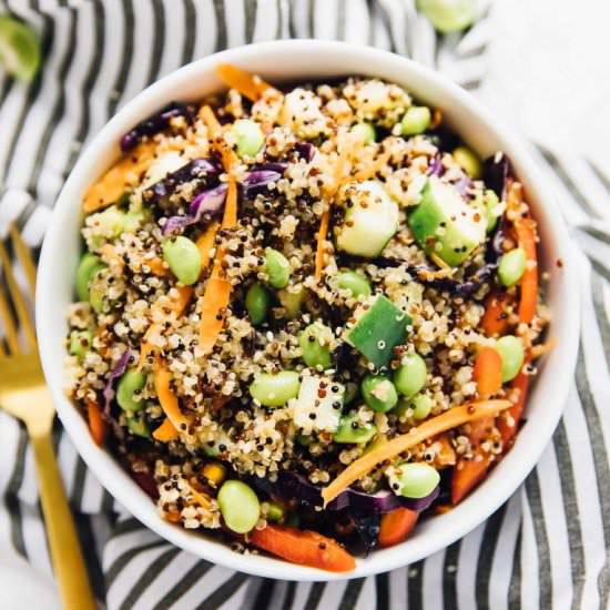15 Minute Asian Quinoa Salad