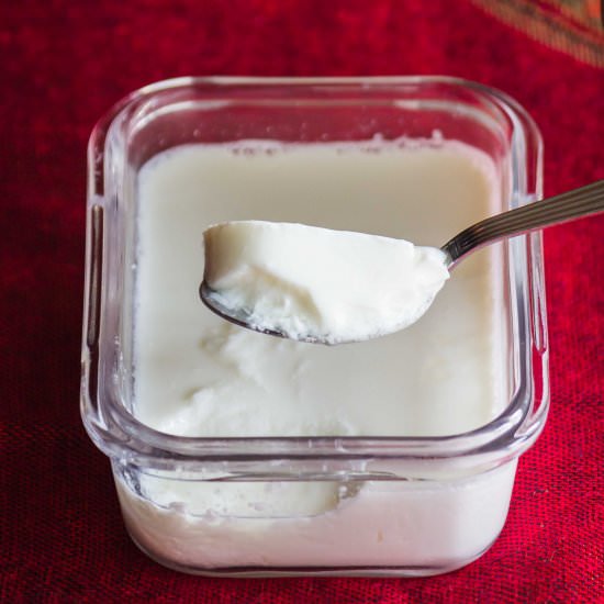 Homemade Yogurt