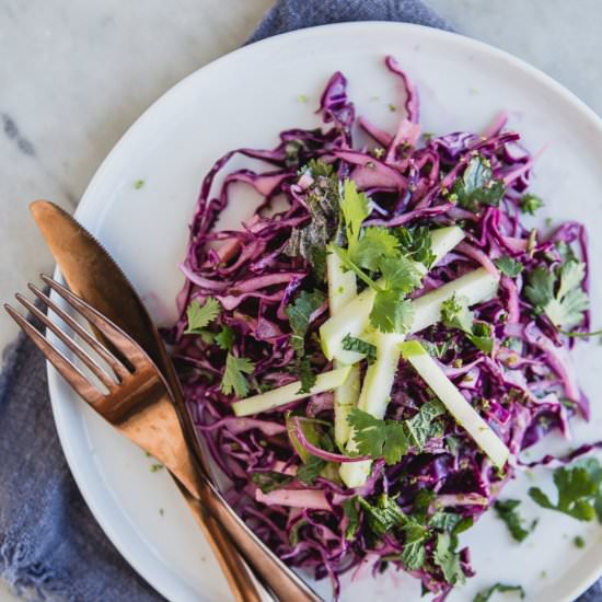 Red Cabbage and Apple Slaw