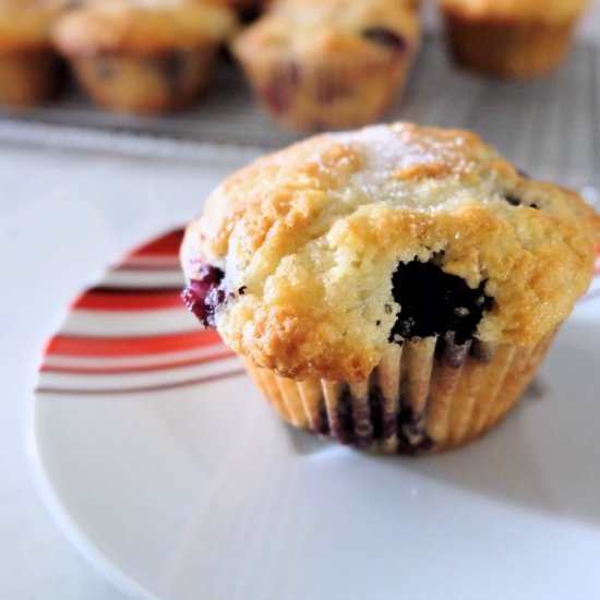 Blueberry Muffins