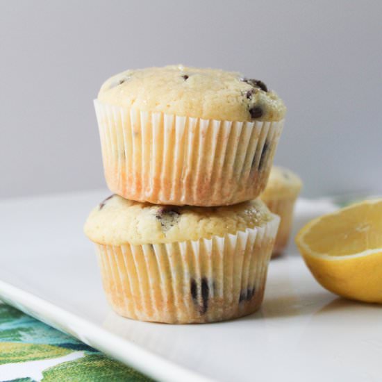 Lemon Chocolate Chip Muffins