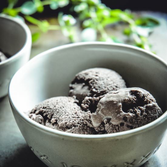 paleo chocolate ice cream