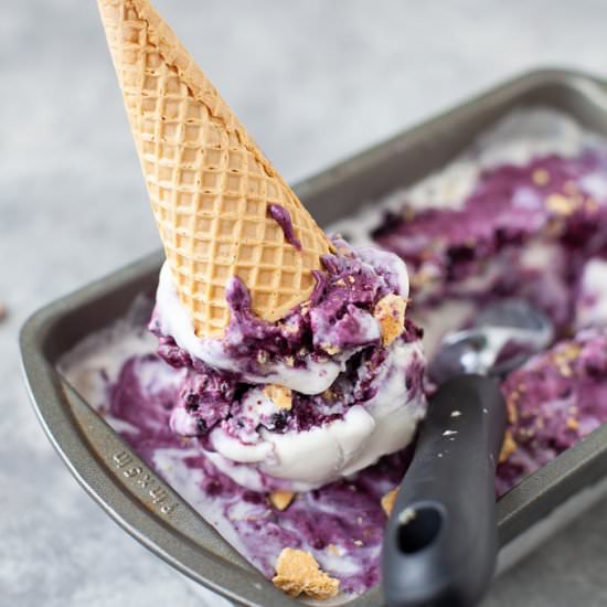 Blueberry Graham Ice Cream