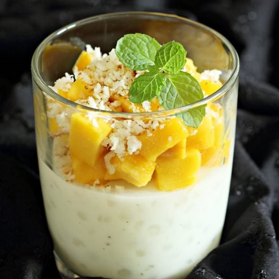 Vegan Tapioca Pearl Pudding