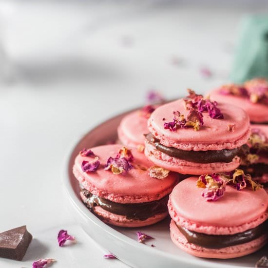 Rose Chocolate Macarons