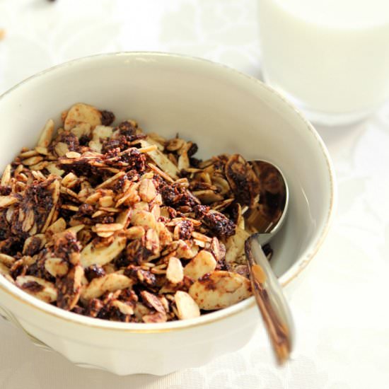 Chocolate Granola with Coconut