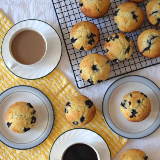 Blueberry Muffins