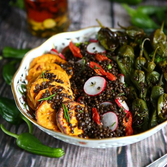 Beluga Lentil Salad with Padrón