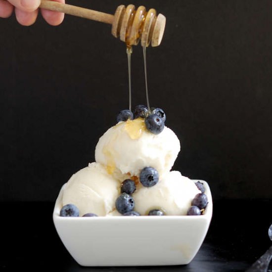 Frozen Yogurt w/Honey & Vanilla Bea