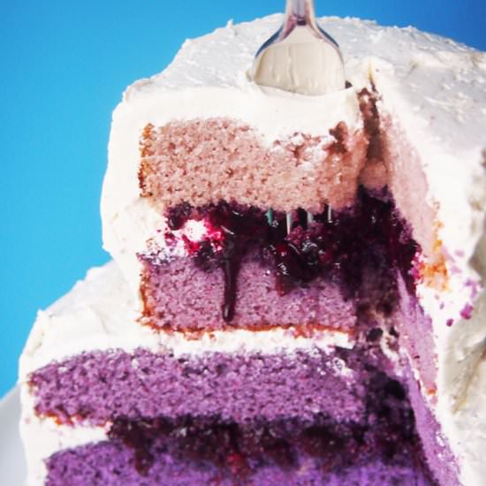 Purple Ombre Tiered Layer Cake