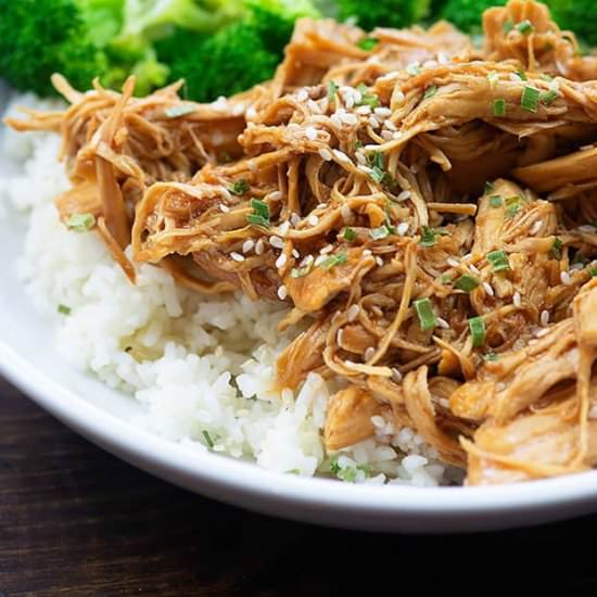 CROCK POT HONEY GARLIC CHICKEN