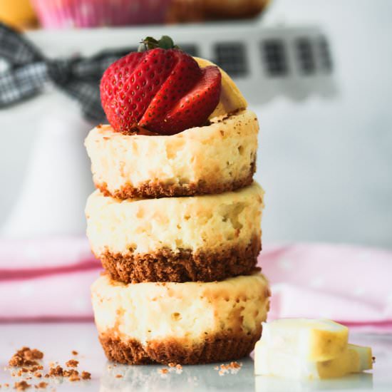 Mini Lemon Cheesecakes