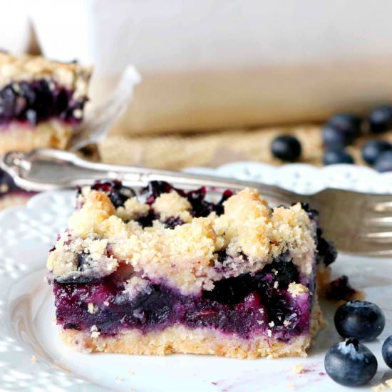 The Best Blueberry Bars