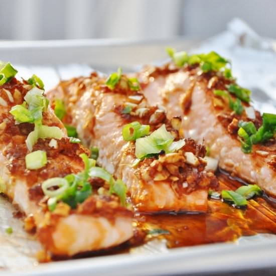 Honey Glazed Ginger Garlic Salmon