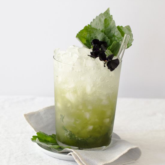 Matcha Yuzu Shisho Summer Spritzer